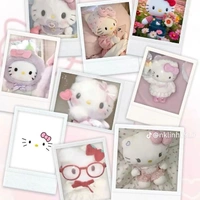 🖇Hello Kitty 🍰(t/g)