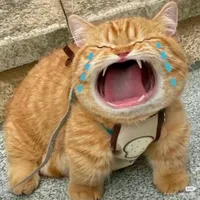 Hệ thống_/Mã hiệu 740