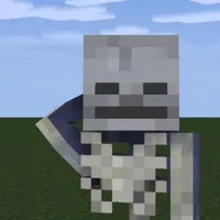 Skelly