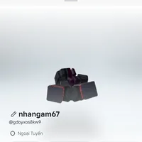 danga67