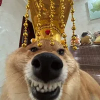 Hoàng Văn Thượng