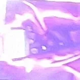 shadow tv man ( zean)