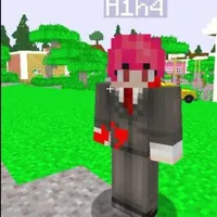 H1H4