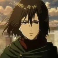 mikasa
