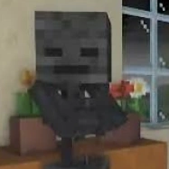 🖤Wither