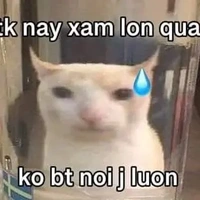 Tác giả