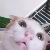 tg và sở thích làm con ng yêu âm nhạc