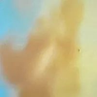 t/g