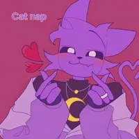 catnap