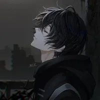 hokitori
