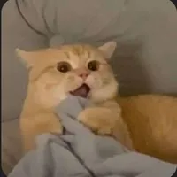 tác giả lụy tình