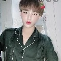 trần đức bo