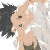 Gon Freecss