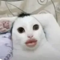 t/g nà baby~~