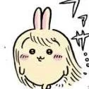 thk bn t/g