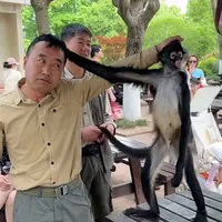 An An là mặt trời nhỏ