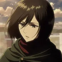 mikasa