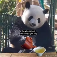 bao cát di động