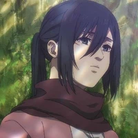 mikasa