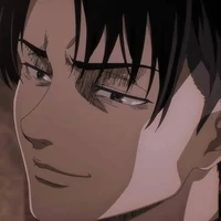 Levi