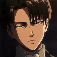 Levi ackerman (1m60) 