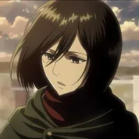 Mikasa 