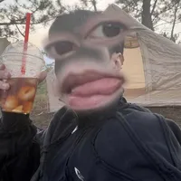 t/g