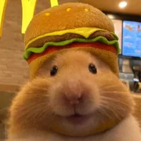 Hamterr