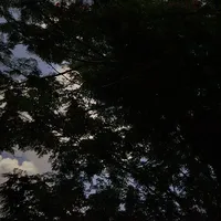 kuru