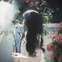 t/g đây 『❦』