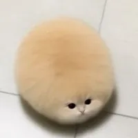 tác giảaa