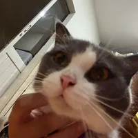 ？？？