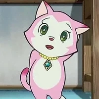 miyoko<dạng mèo>