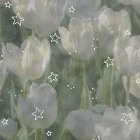 Tác giả ngơ ngơ 🌷