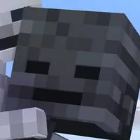 Ma xương đen💻[Wither]
