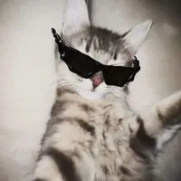 tác giả nè🥰