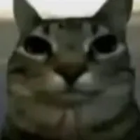 Như (Alien👽)