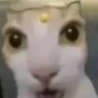 Ngân (chuppy 🐖)