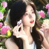 Vân Ly Ninh/Hải Châu