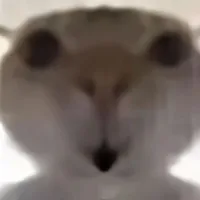 tác giả cute phô mai que 💅🥰