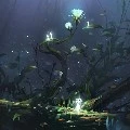 Cái gương
