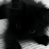 ?.?.?