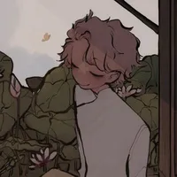 °Vietnam°