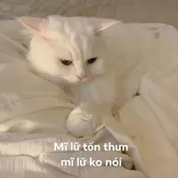 tất cả