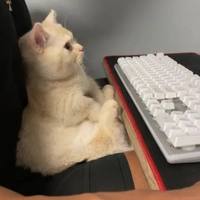 TÁC Giả_cutee
