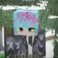 hiha des