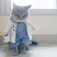 T/G