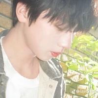 Nhiếp Vĩ Thần_V