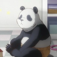 🥊Panda🐼