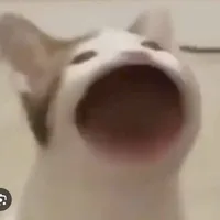 bống
